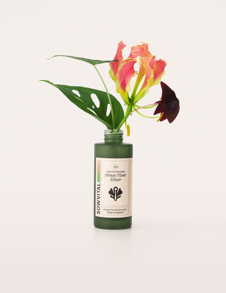 e-do studio — SWOVITAL — Cosmétique — 2022 (3/3)
